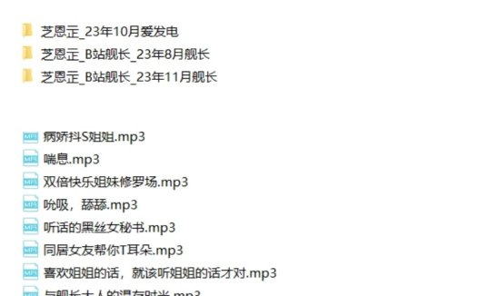 芝恩㱏_B站舰长合集